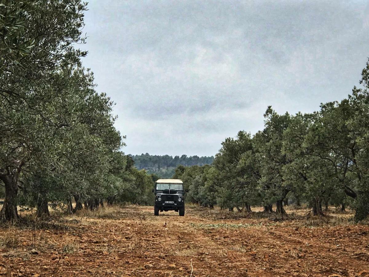 La Rabasse De Gallinette Aups Exteriér fotografie